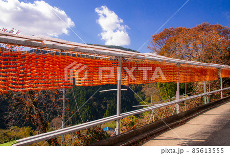 干し柿風景　和歌山県伊都郡かつらぎ町四郷（平地区） 85613555