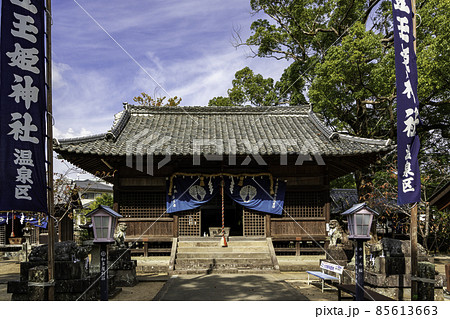 嬉野温泉 豊玉姫神社 拝殿 佐賀県嬉野市 嬉野温泉 豊玉姫神社 拝殿 佐賀県嬉野市 85613663