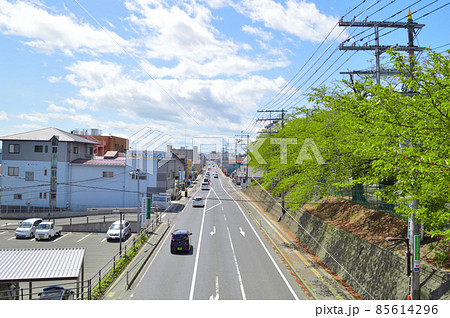 東北本線貨物・鹿島台近辺 85614296