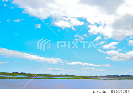 東北本線貨物・鹿島台近辺 85614297