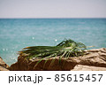 Rocky Beach with Palm Leaf Vacation Background 85615457