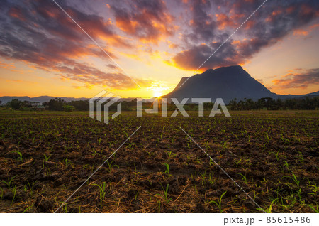 Doi luang chiang dao mountain. 85615486