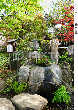 松戸神社 龍神さまと御神水（千葉県松戸市） 85615533