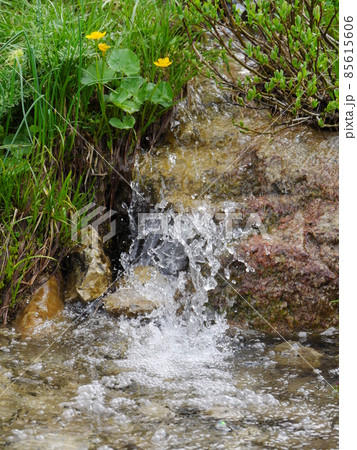 spring water fountain spring water fountain 85615606