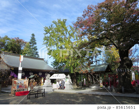 新田神社 新田神社 85615651