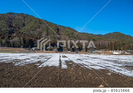 雪が積もった畑 朝日村 雪が積もった畑 朝日村 85615666