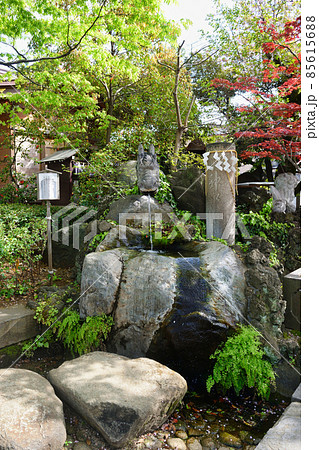 松戸神社 龍神さまと御神水（千葉県松戸市） 85615688