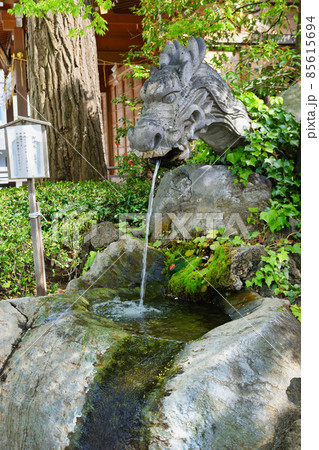 松戸神社 龍神さまと御神水（千葉県松戸市） 85615694