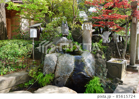 松戸神社 龍神さまと御神水（千葉県松戸市） 85615724