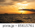 東京湾の日の出 85615761
