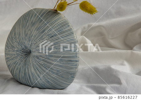 Close-up of Handmade Ceramic Vase on White background. 85616227