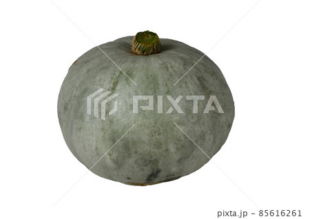 Gray pumpkin Gray pumpkin 85616261
