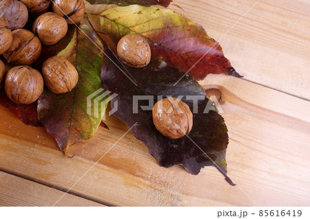 Walnuts on table Walnuts on table 85616419