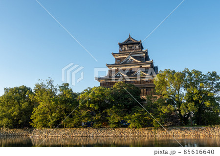 《広島市》朝日を浴びる広島城 85616640