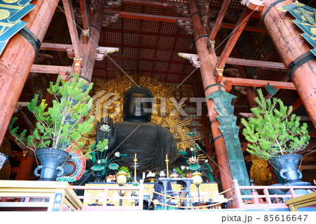 奈良の大仏 85616647