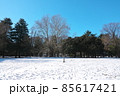雪景色の砧公園　中央の落葉した木は世田谷名木百選・アメリカスズカケノキ 85617421