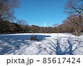 大雪の翌朝の砧公園　ねむのき広場と世田谷清掃工場の煙突 85617424