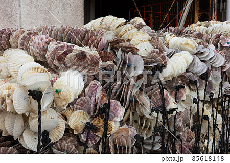 日本の岡山県備前市の頭島の漁業 85618148