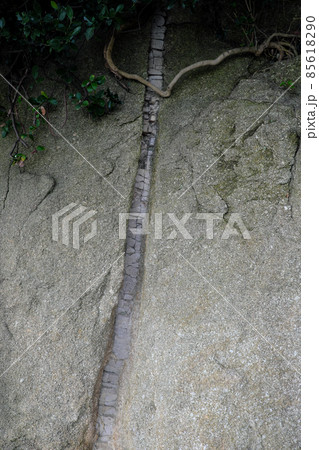 約10センチメートル幅の岩脈 85618290