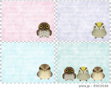 Fluffy bird stationery A-4 85619188