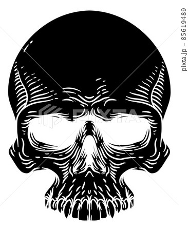 Skull Old Vintage Woodcut Etching Engraving Style 85619489