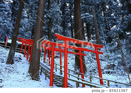 世界遺産 冬の平泉中尊寺 世界遺産 冬の平泉中尊寺 85621367