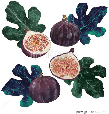 Ripe Tasty figs and halves with green leaf isolated on white background. Healthy mediterranean fig fruit. 85622082