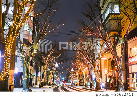 冬の新潟市　けやき通りの街並み 85622411