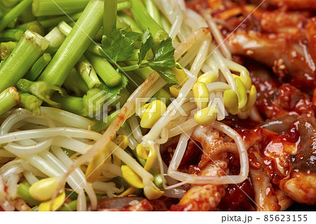 韓国料理　オジンオナクチポックム　手長ダコの甘辛炒め 85623155