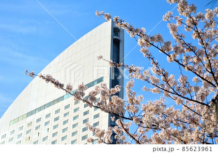 4月の空に春の訪れ 4月の空に春の訪れ 85623961