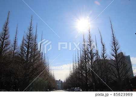 春の訪れを静かに待つ 85623969