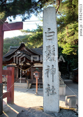 琵琶湖白髭神社 85624013