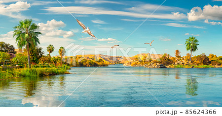 Panorama Nile in Aswan 85624366