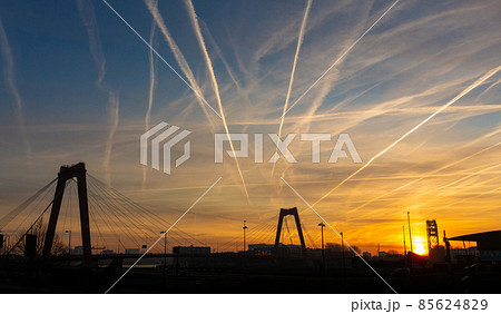 Morning Yellow blue Skyline of Rotterdam and the Willemsbrug 85624829