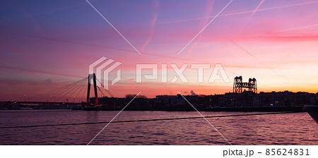 Morning Pink Skyline of Rotterdam and the Willemsbrug 85624831
