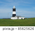 ポツンと海岸にある白黒の能取岬の灯台 85625626