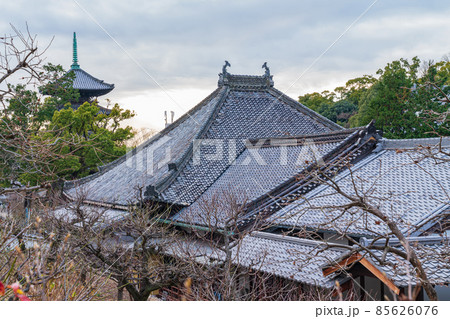 八事山興正寺、瓦屋根が続く風景〈愛知県名古屋市〉 85626076