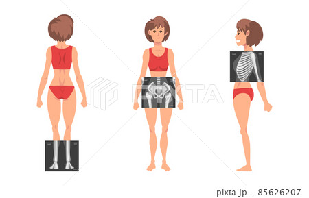 Young Woman Standing in Red Underwear with Her Skeleton X-ray Vector Set 85626207
