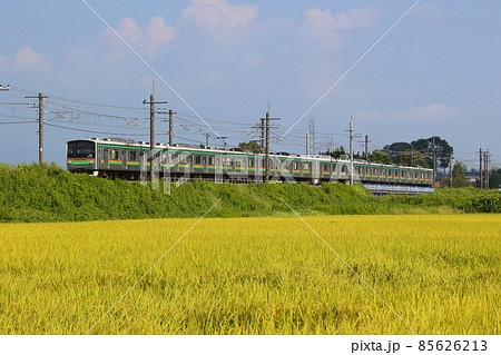 黄金色の田園を行く宇都宮線205系(8両編成:元埼京線車両×2本連結) 黄金色の田園を行く宇都宮線205系(8両編成:元埼京線車両×2本連結) 85626213
