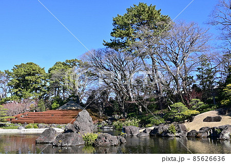 紅葉山庭園(駿府城)の池と築山 紅葉山庭園(駿府城)の池と築山 85626636