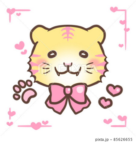 ピンクの虎の子正面顔 ピンクの虎の子正面顔 85626655