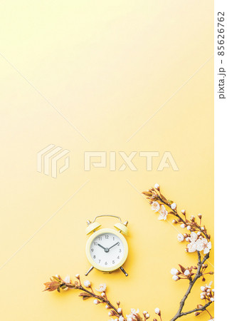 Spring time background. May flowers and April floral nature with alarm clock on yellow. Branches of blossoming apricot macro with soft focus. For easter greeting cards with copy space. Springtime. Spring time background. May flowers and April floral nature with alarm clock on yellow. Branches of blossoming apricot macro with soft focus. For easter greeting cards with copy space. Springtime. 85626762