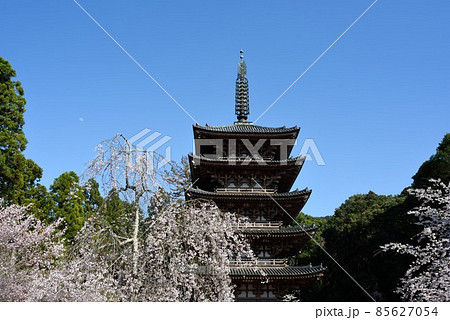 京都　醍醐寺の桜と五重塔と月 85627054