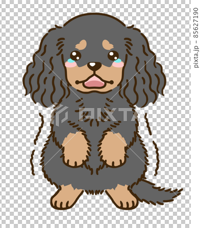 おびえるアメリカンコッカースパニエル（ブラックタン） 85627190