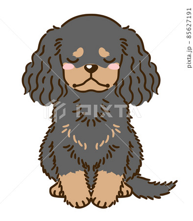 落ち込むアメリカンコッカースパニエル（ブラックタン） 85627191