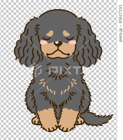 沮喪的美國可卡犬（黑色和棕褐色） 85627191