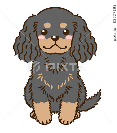 アメリカンコッカースパニエル（ブラックタン）のイラスト素材