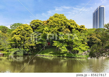 [東京・後楽園] 小石川後楽園の大泉水の真ん中にある蓬莱島に祀われる弁才天祠。 85627817