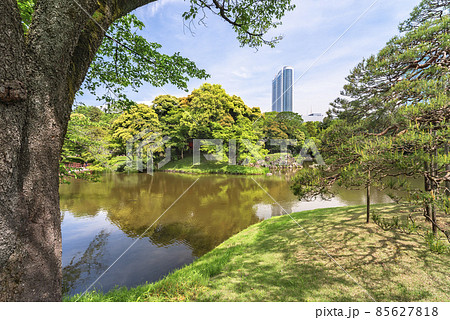 [東京・後楽園] 小石川後楽園の大泉水の真ん中にある蓬莱島に祀われる弁才天祠。 85627818