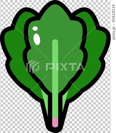 Spinach with main line 85628534